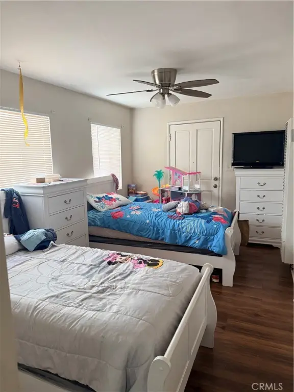 Picture 17