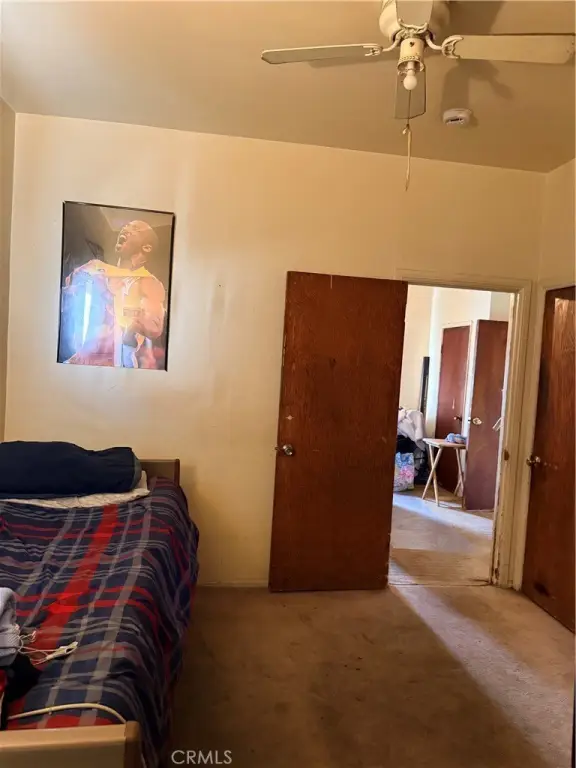 Picture 4