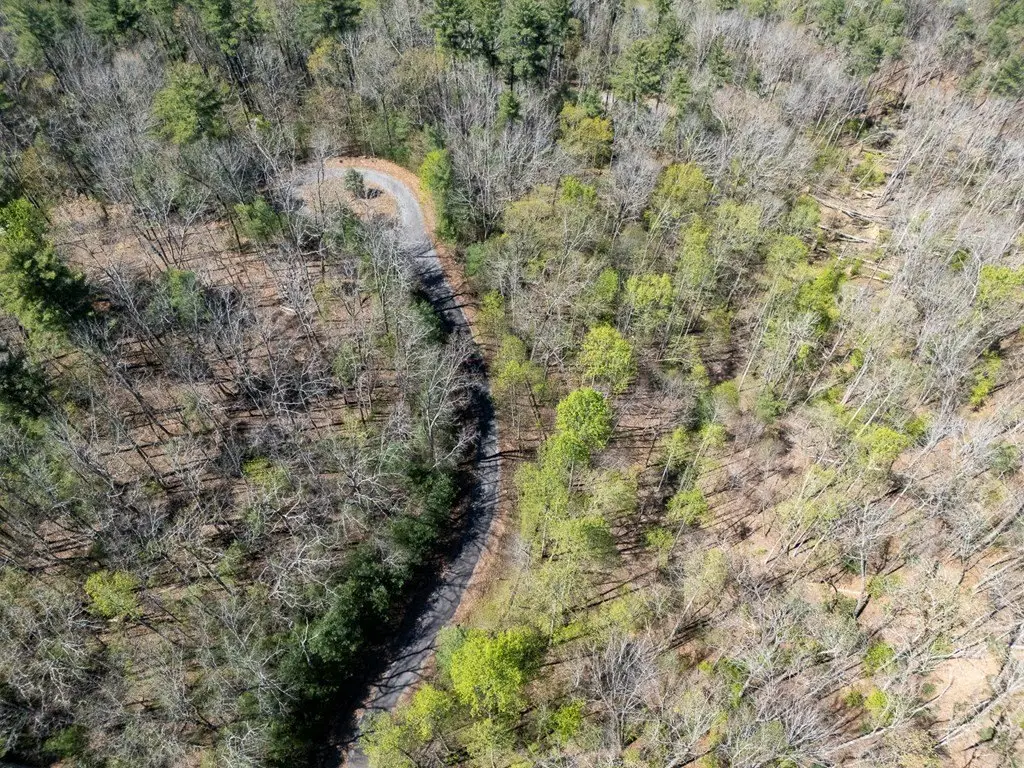 Picture 34