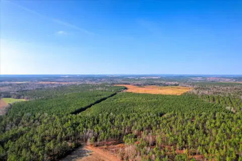 84 Acres of Prime Land