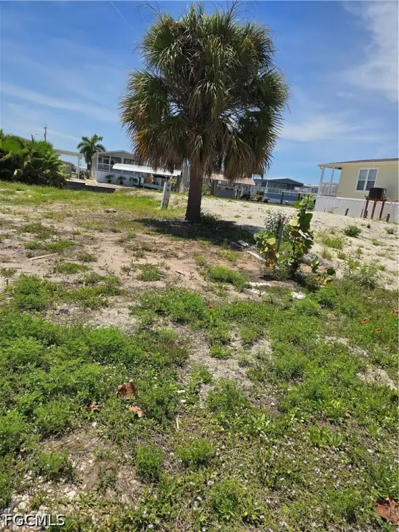 Picture 8