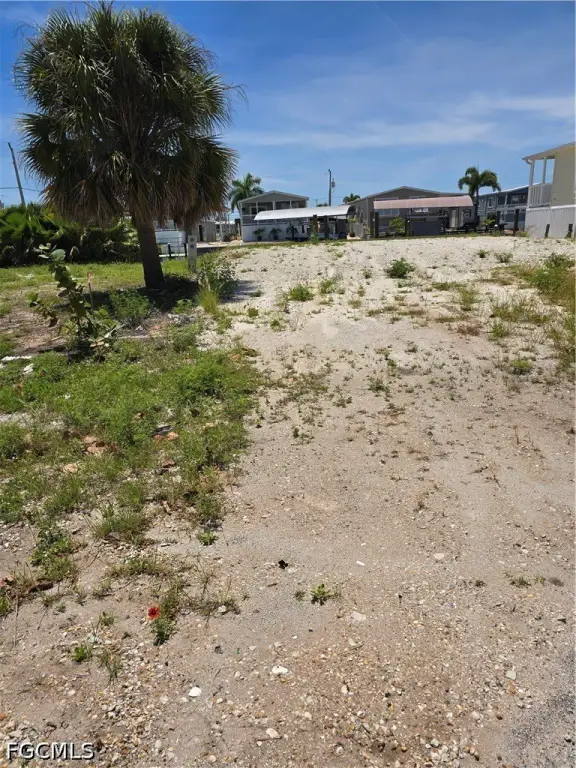 Picture 5