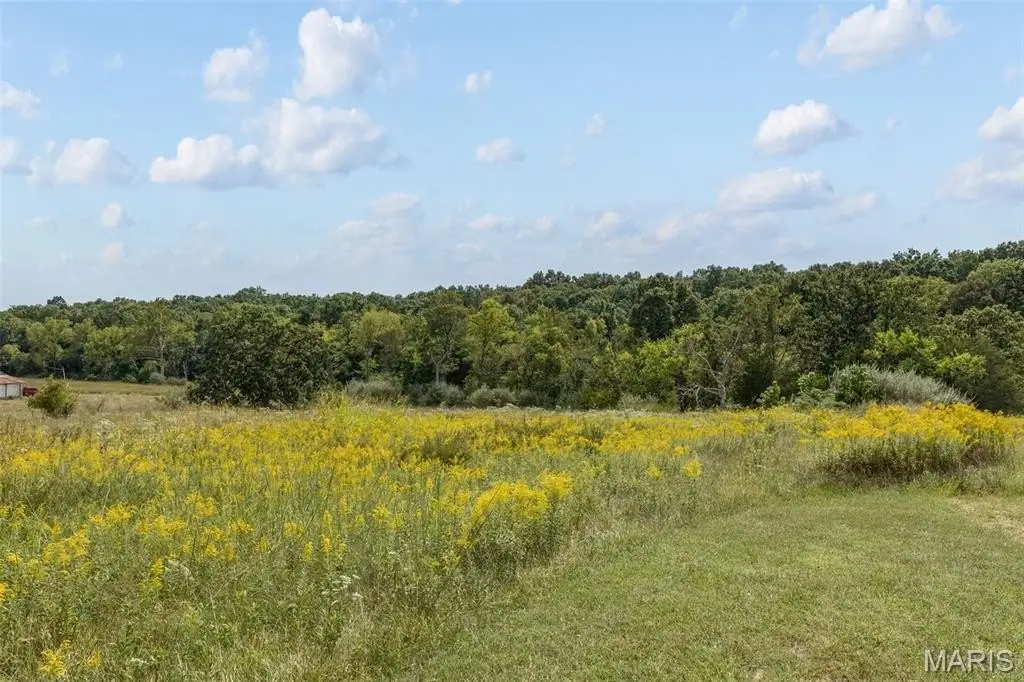 Picture 8