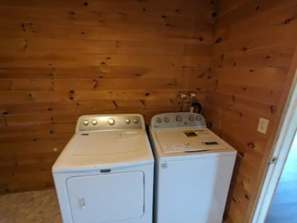 Picture 29