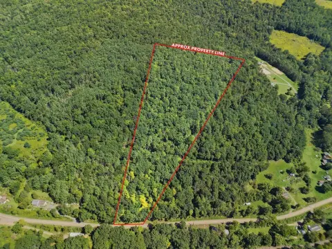 Wooded Land Parcel