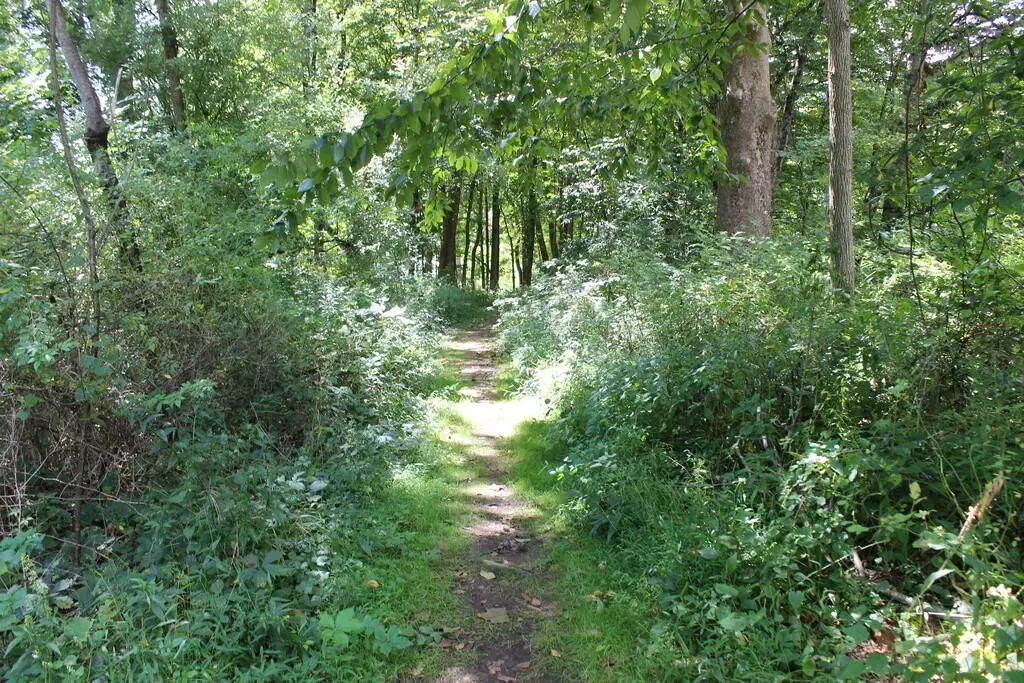Picture 34