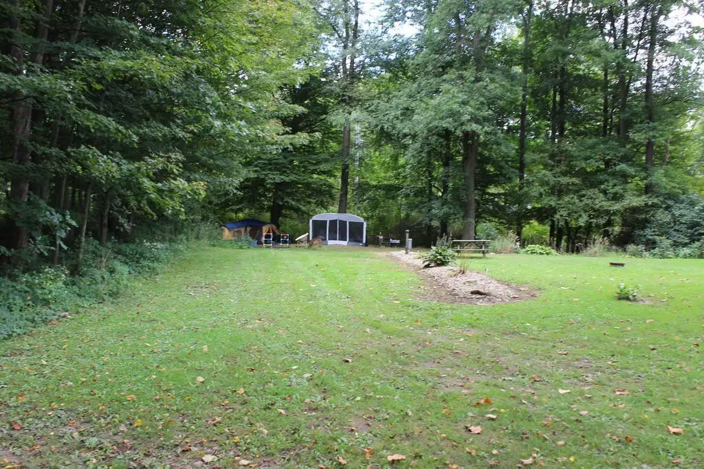 Picture 32