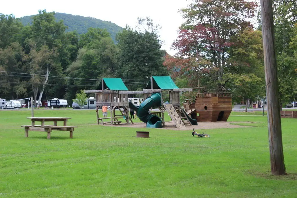 Picture 19