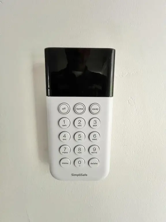 Picture 41