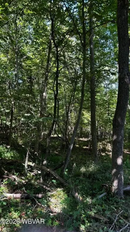 Picture 6