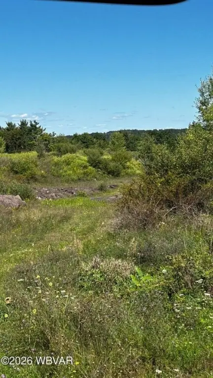 Picture 3