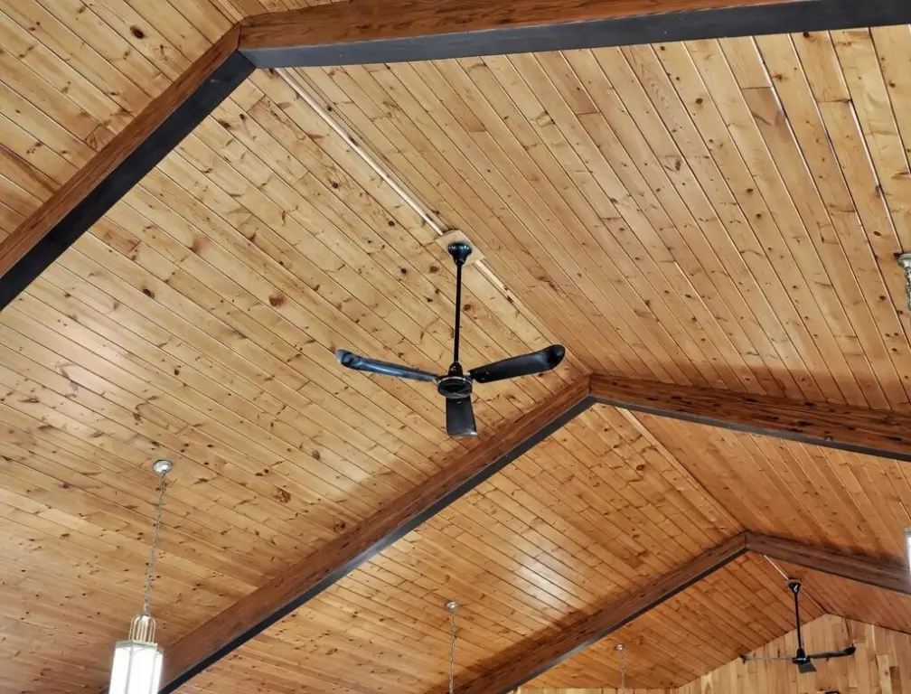 Picture 17