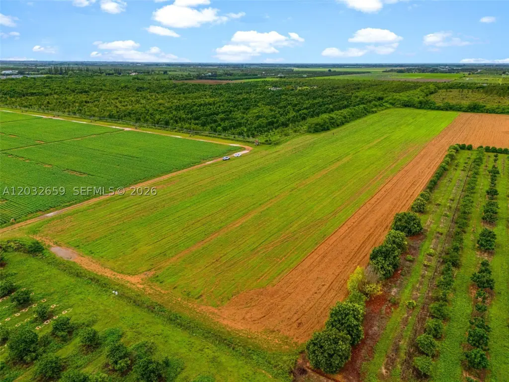 Picture 21