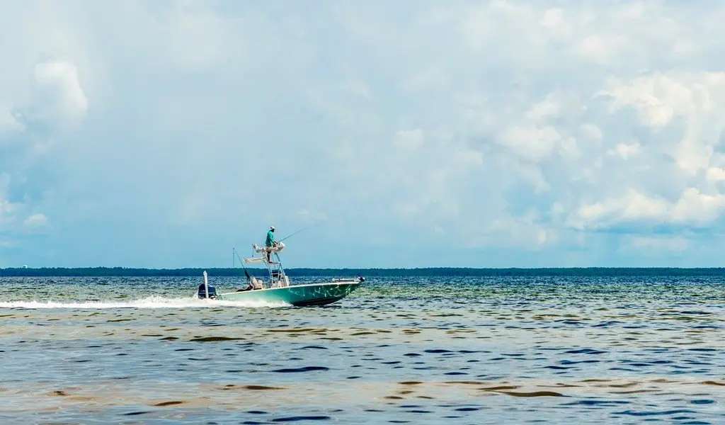 Picture 41