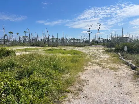 Cape San Blas Building Site