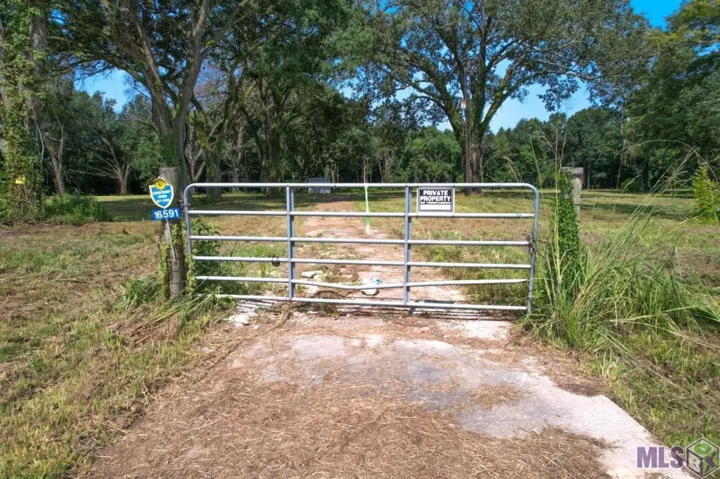 Picture 28