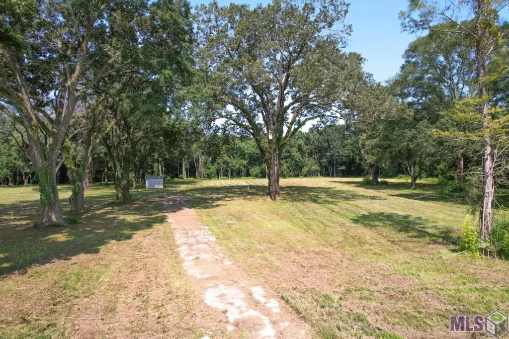 Picture 19