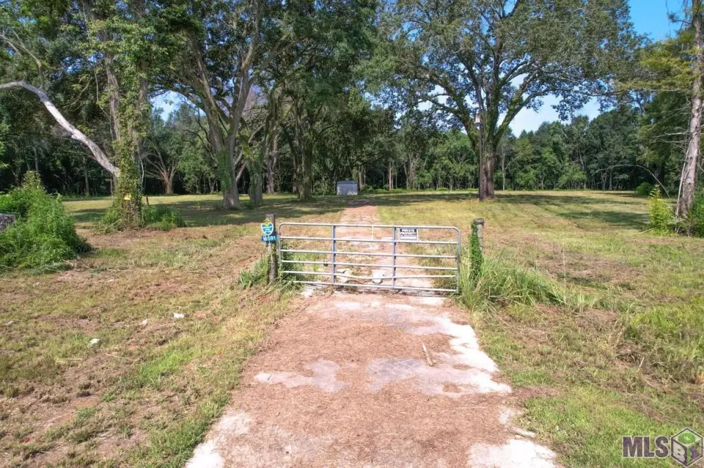 Picture 27