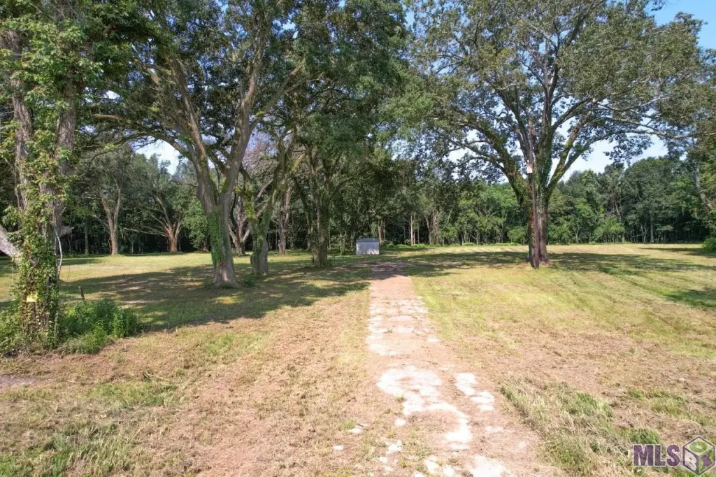 Picture 20