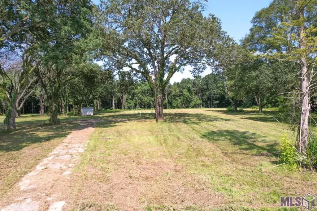 Picture 25