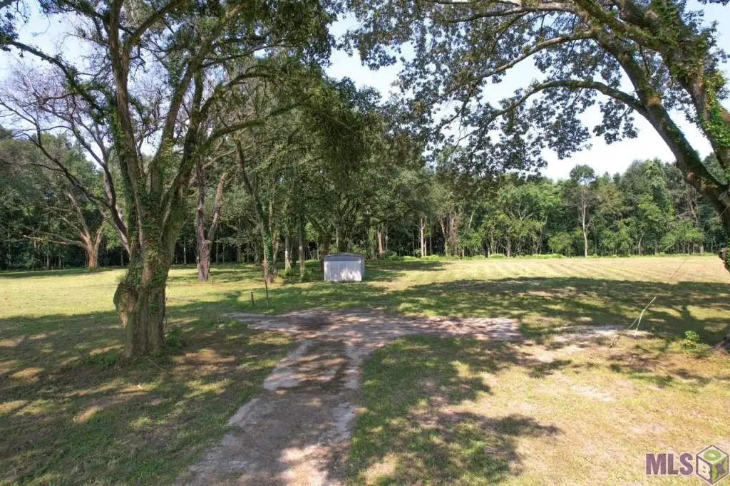 Picture 10