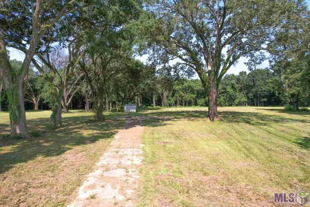 Picture 21