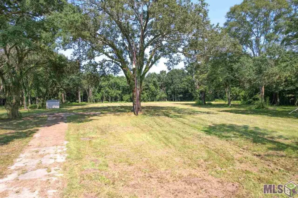 Picture 22