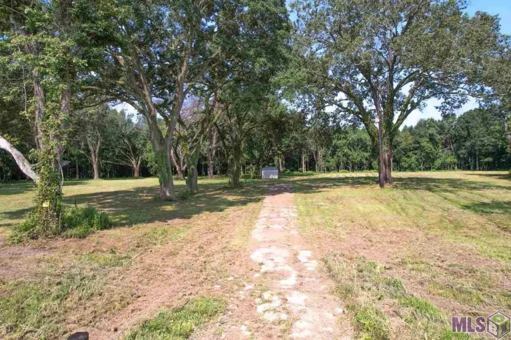 Picture 23