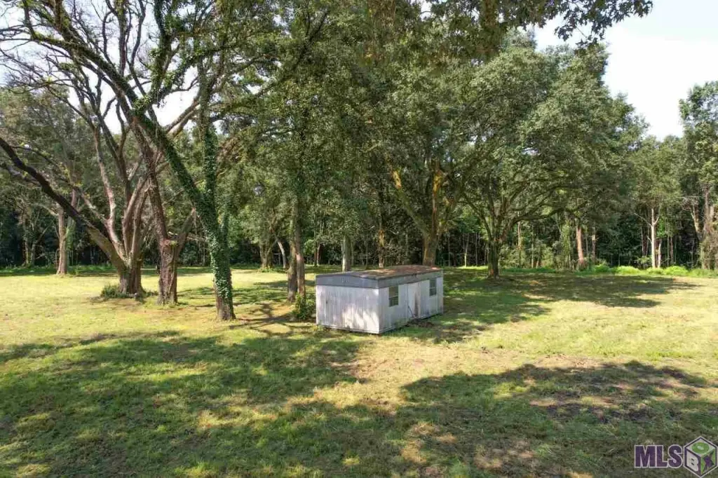 Picture 17