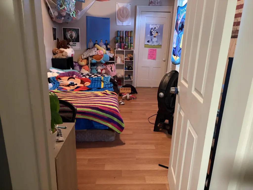 Picture 12