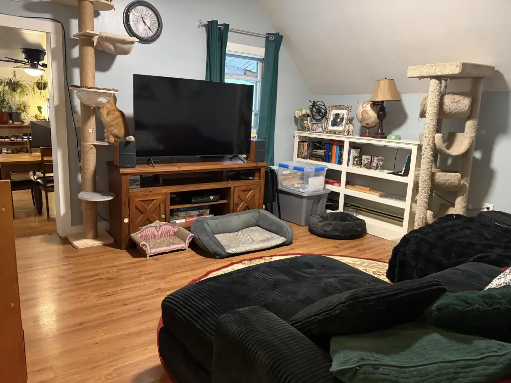 Picture 20