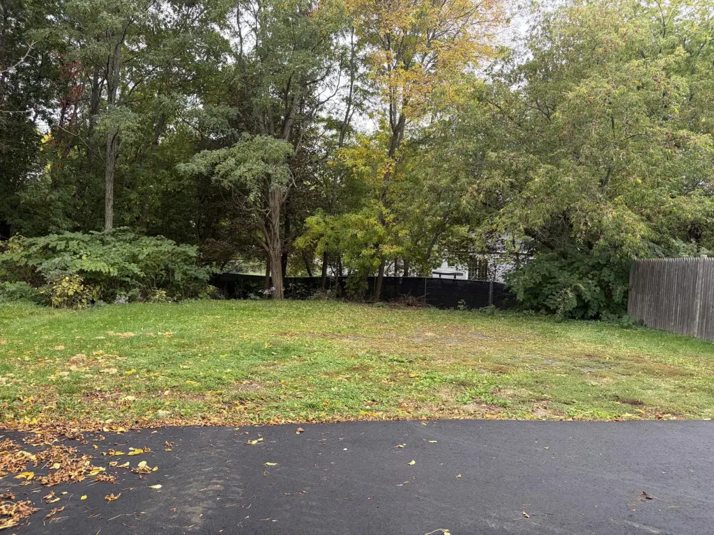 Picture 6