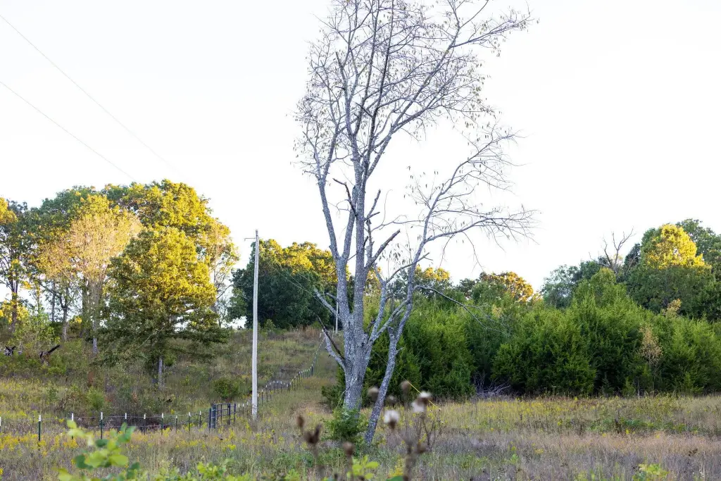 Picture 35