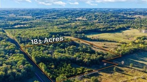 Wooded Land Tract