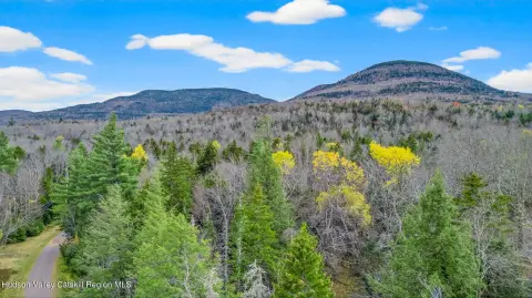 Elka Park Mountain Retreat Land