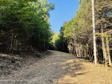 Elka Park Mountain Retreat Land