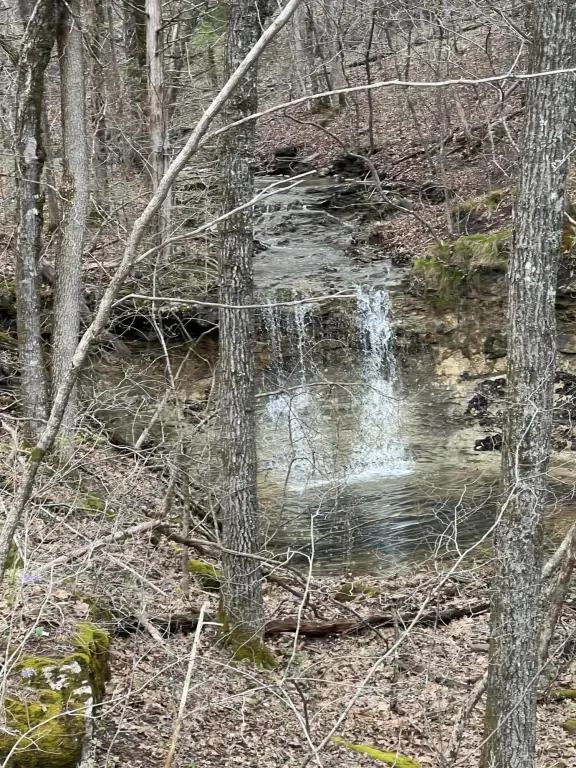 Picture 43