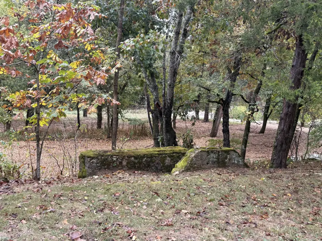 Picture 47
