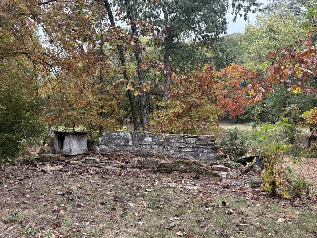 Picture 48