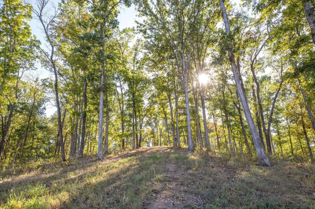 Picture 28