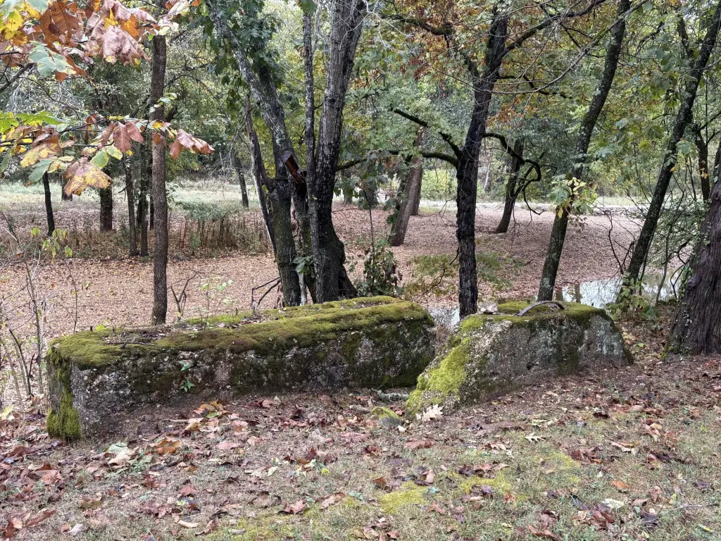 Picture 46