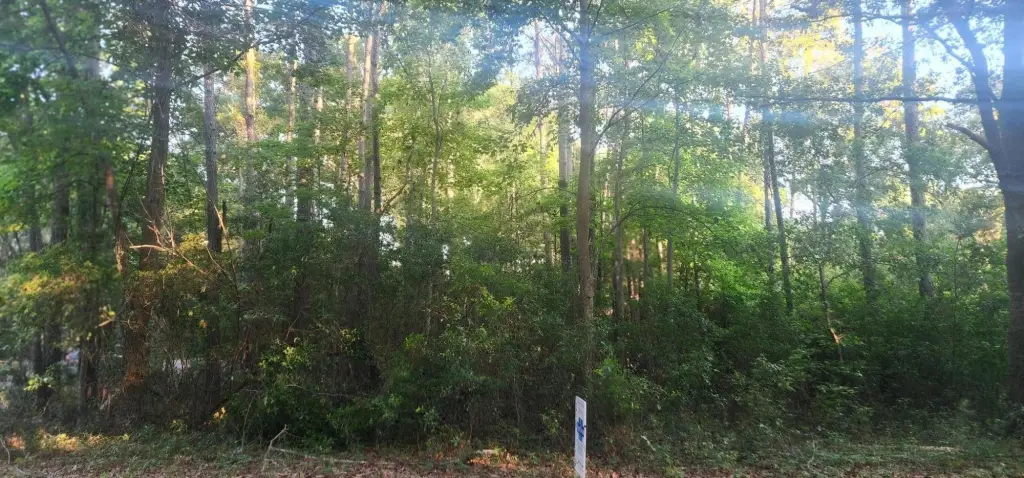 Picture 2