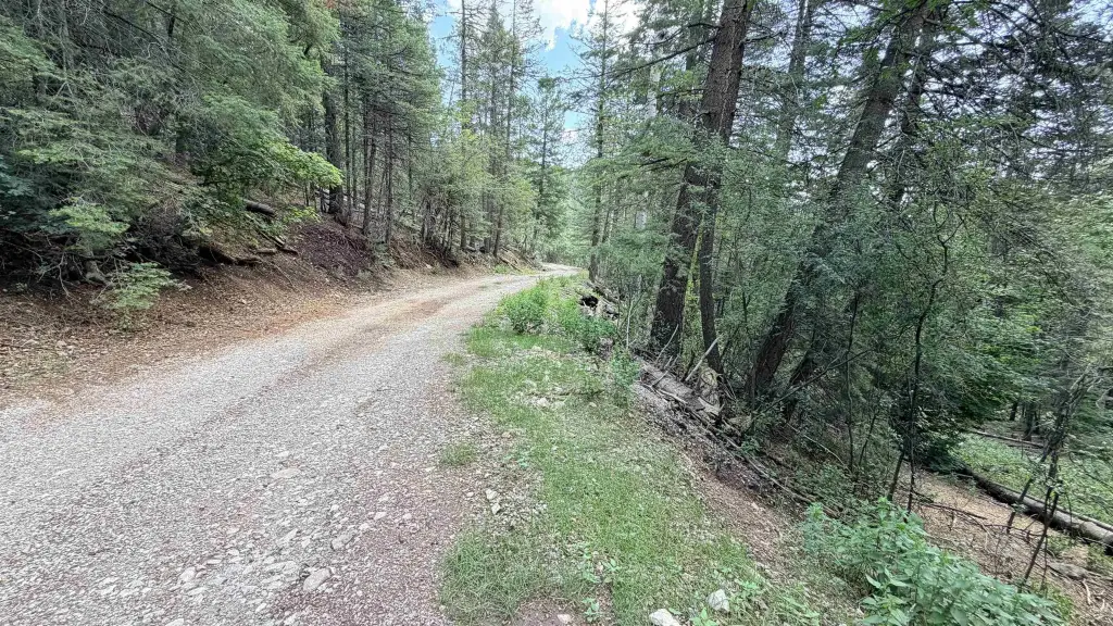 Picture 9