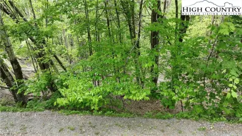 Two-Acre Residential Land Parcel