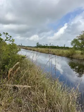 Waterfront Land in Bay St. Louis