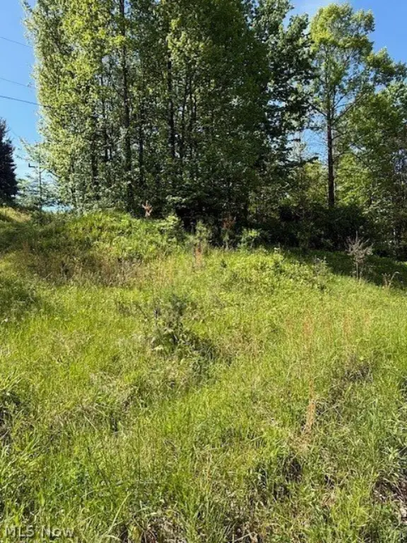Picture 3