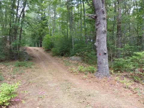 Wooded Recreation Land