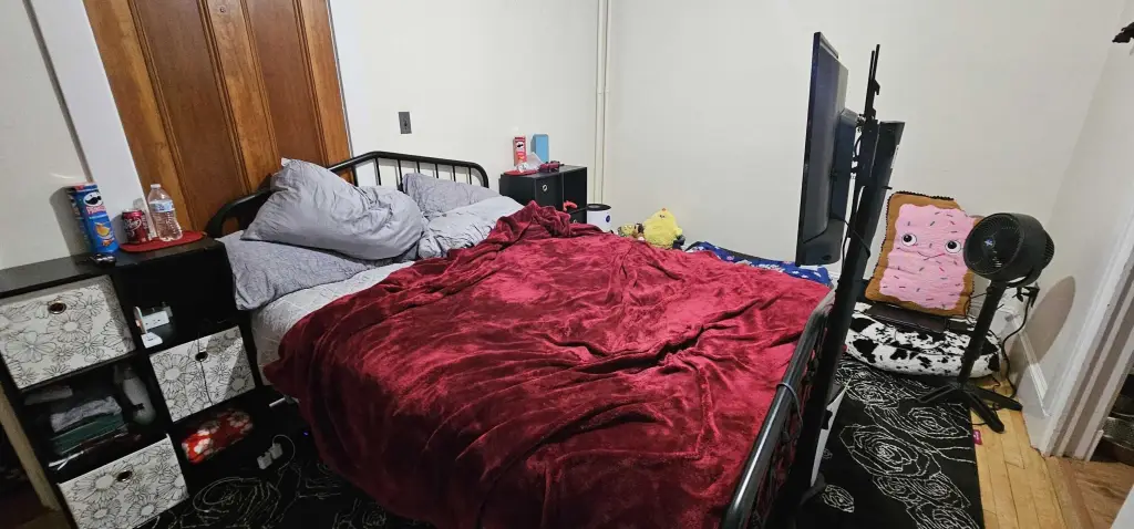 Picture 19