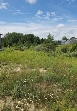 Commercial Land in Gladwin, MI