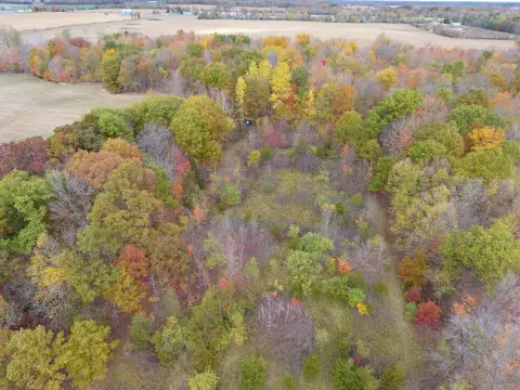 80 Acres Hunting Land, Camden